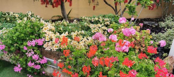 11 rooms Penthouse in Ventimiglia, Italy No. 151134 35