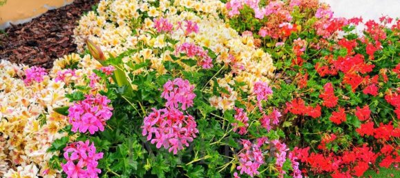 11 rooms Penthouse in Ventimiglia, Italy No. 151134 33