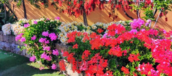 11 rooms Penthouse in Ventimiglia, Italy No. 151134 37