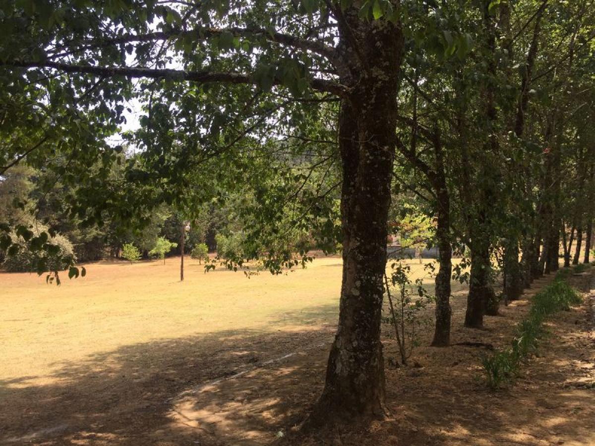 Земельный участок в Эройка Матаморос, Мексика № 203009