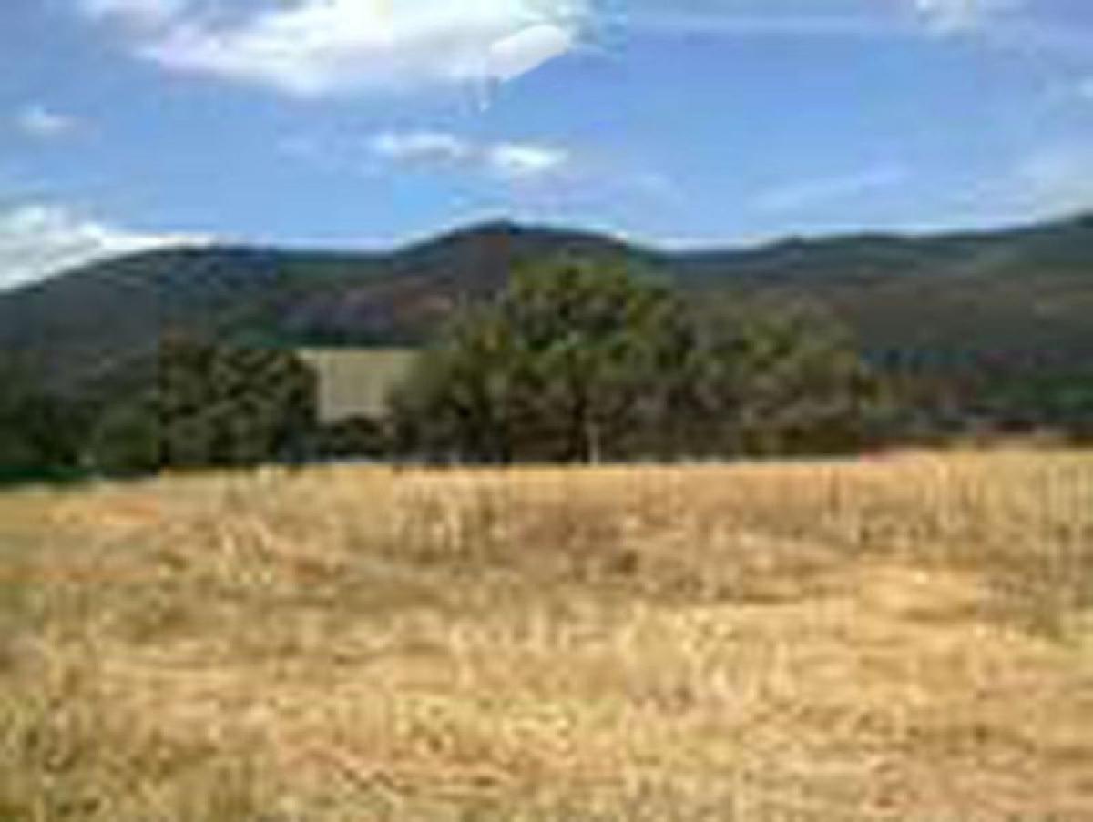  Land in Mexico No. 205850