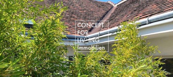 256m² Commercial property in Wiener Neustadt, Austria No. 156851 46