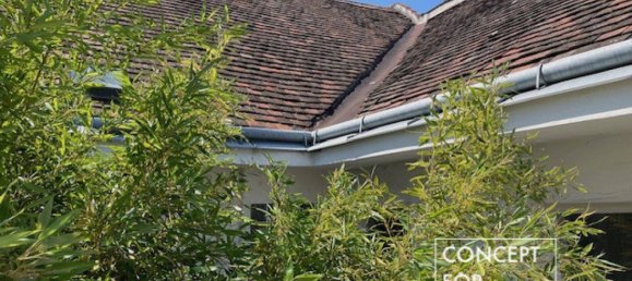 256m² Commercial property in Wiener Neustadt, Austria No. 156851 8