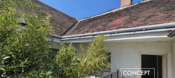 256m² Commercial property in Wiener Neustadt, Austria No. 156851 45