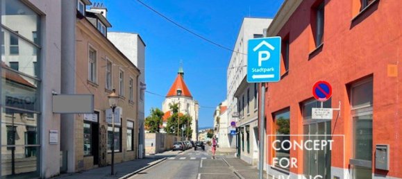 256m² Commercial property in Wiener Neustadt, Austria No. 156851 10