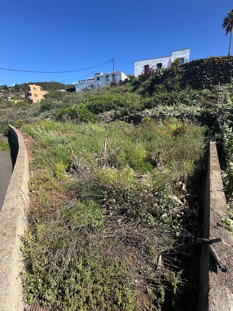 Terreno em Icod de los Vinos, Spain N.º 197246