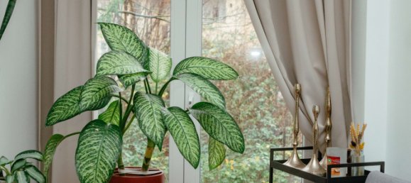 Apartamento de 6 dormitorios en Stuttgart, Germany No. 296356 9