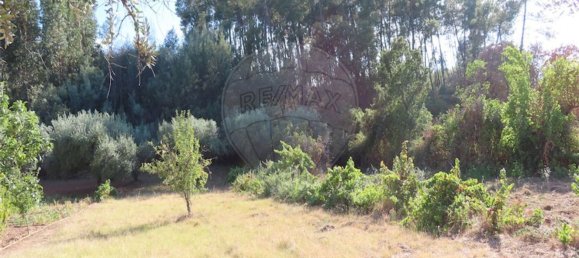 1 bedroom House in Fundao, Portugal No. 74682 31