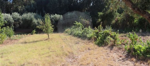 1 bedroom House in Fundao, Portugal No. 74682 30