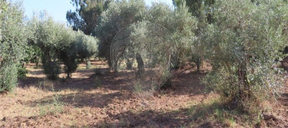 1 bedroom House in Fundao, Portugal No. 74682 28