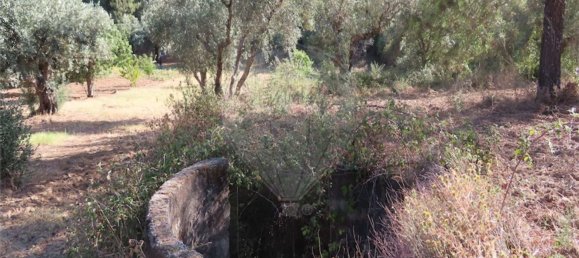 1 bedroom House in Fundao, Portugal No. 74682 15