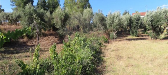 1 bedroom House in Fundao, Portugal No. 74682 34