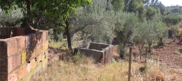 1 bedroom House in Fundao, Portugal No. 74682 9