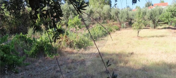 1 bedroom House in Fundao, Portugal No. 74682 33