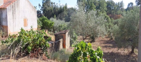 1 bedroom House in Fundao, Portugal No. 74682 7