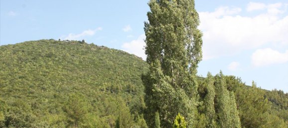 500m² Villa in Chalkidiki, Greece No. 8041 27