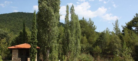 500m² Villa in Chalkidiki, Greece No. 8041 5