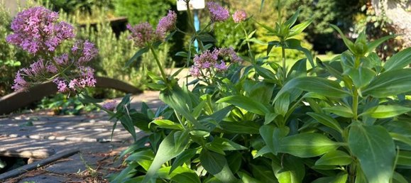 Casa T4 em Noailles, France N.º 218449 2