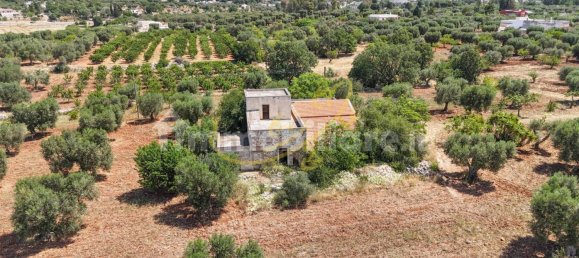 1 Schlafzimmer Haus in Polignano a Mare, Italy, Nr. 43343 4