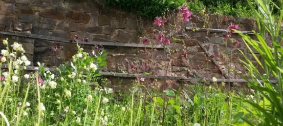 Moradia em banda T2 em Kassel, Germany N.º 337971 10