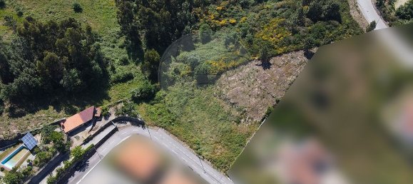 1950m² Land in Marco de Canaveses, Portugal No. 43128 4