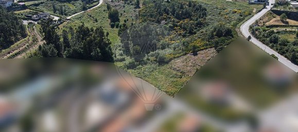 1950m² Land in Marco de Canaveses, Portugal No. 43128 3