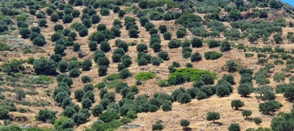 21000m² Hotel in Sitia, Greece No. 3912 7