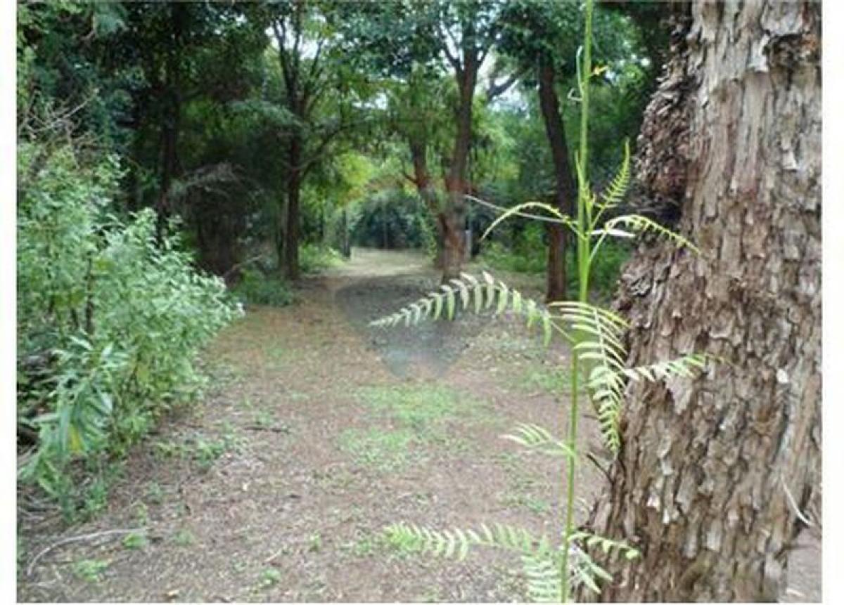  Land in Cordoba, Argentina No. 37730