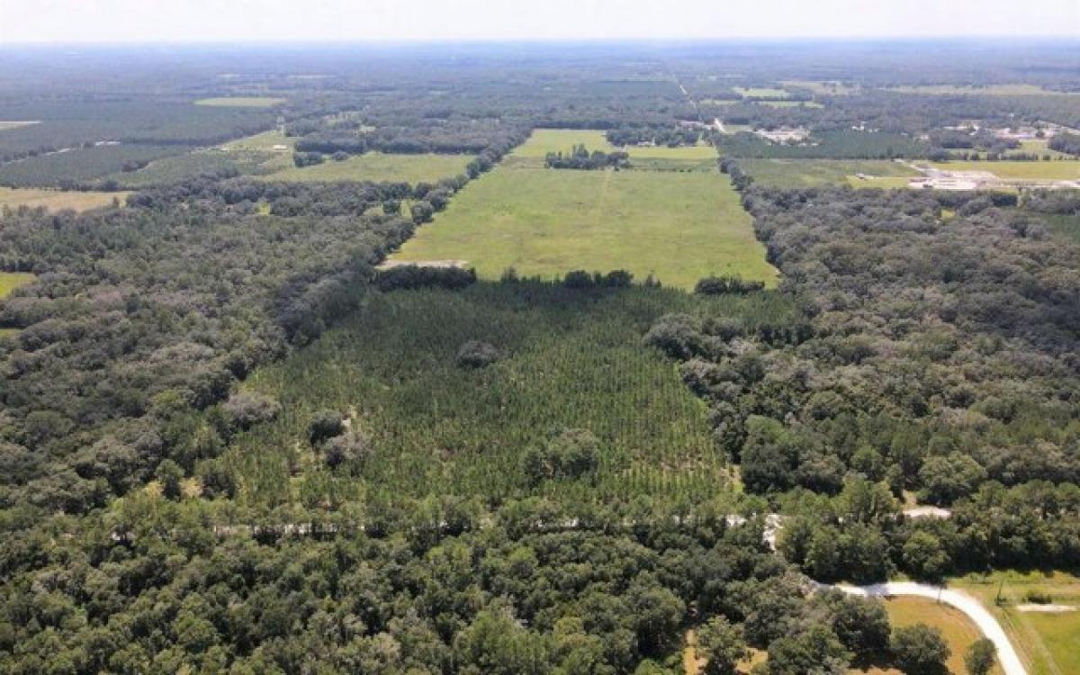  Land in Live Oak, USA No. 513394