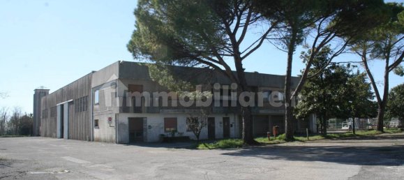 2460m² Warehouse in Udine, Italy No. 63761 13