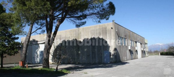 2460m² Warehouse in Udine, Italy No. 63761 4