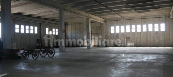 2460m² Warehouse in Udine, Italy No. 63761 17