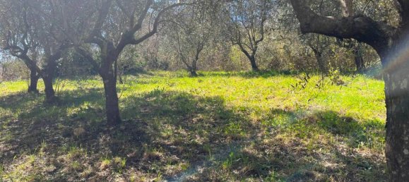 6 rooms Villa in Prata Sannita, Italy No. 37377 47