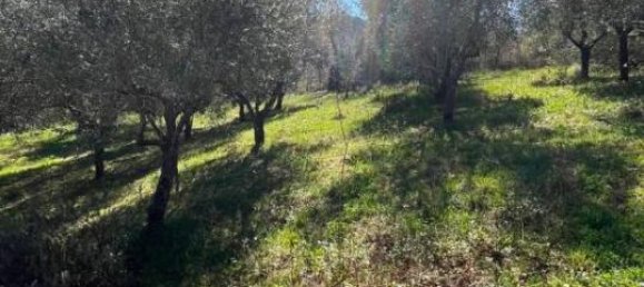 6 rooms Villa in Prata Sannita, Italy No. 37377 31