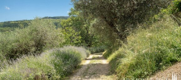 12 bedrooms House in Montalcino, Italy No. 57089 36