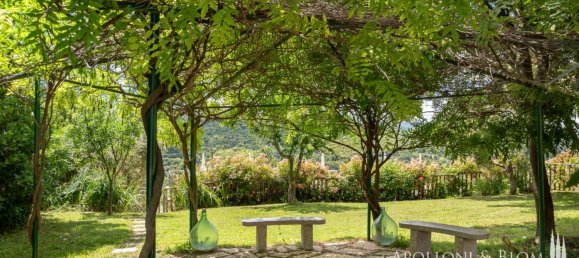 12 bedrooms House in Montalcino, Italy No. 57089 35