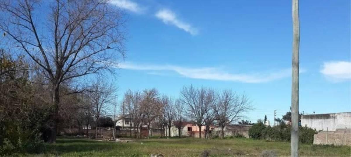  Land in Ituzaingo, Argentina No. 48358