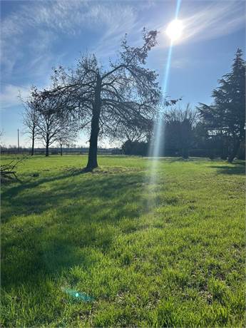 3 bedrooms Land in Marmirolo, Italy No. 295080