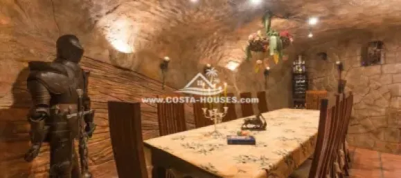 5 chambres Villa à Alicante, Spain No. 55022 43