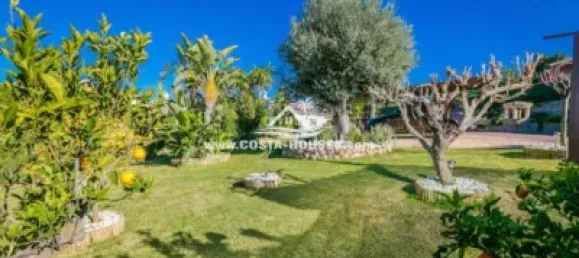 5 chambres Villa à Alicante, Spain No. 55022 46