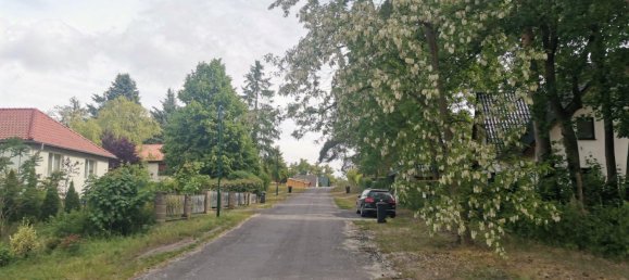  Land in Barnim, Germany No. 365970 2