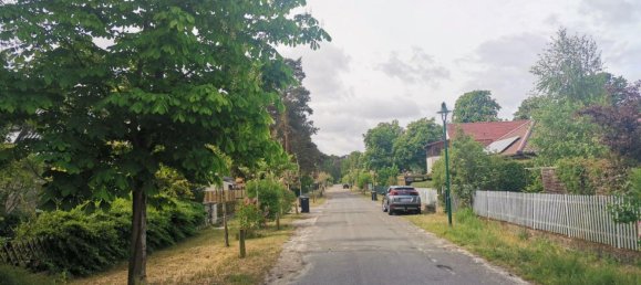  Land in Barnim, Germany No. 365970 3