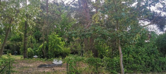  Land in Barnim, Germany No. 365970 10