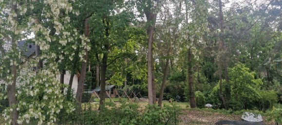  Land in Barnim, Germany No. 365970 6