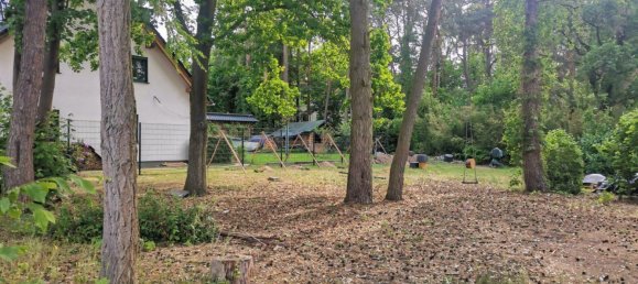  Land in Barnim, Germany No. 365970 4