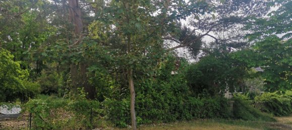  Land in Barnim, Germany No. 365970 9