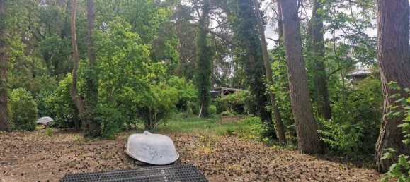  Land in Barnim, Germany No. 365970 7