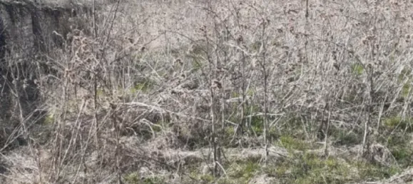 Terrain à Xirocourt, France 1020m² No. 91325 5