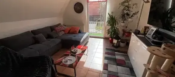 6-Zimmer Gewerbliche Immobilie in Emsland, Germany, Nr. 318073 8