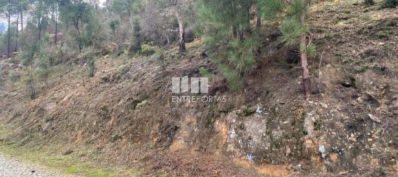 10124m² Land in Marco de Canaveses, Portugal No. 51810 5